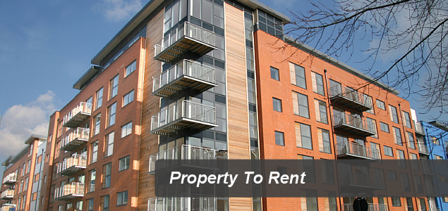 Property To Rent